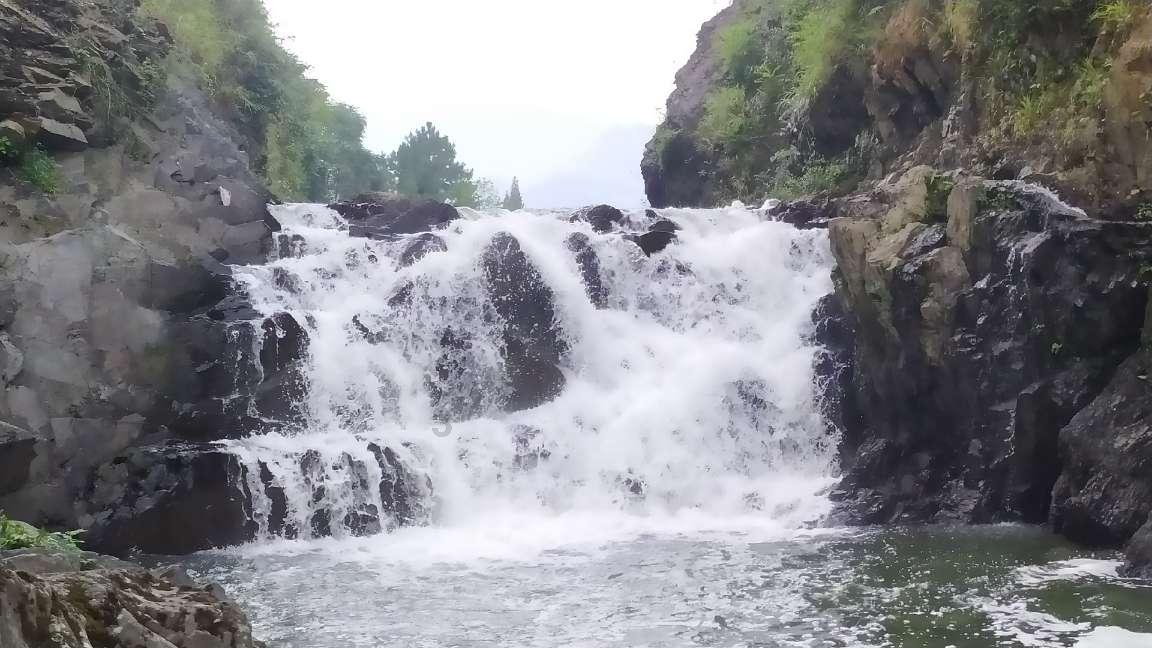 逃离未知丛林2