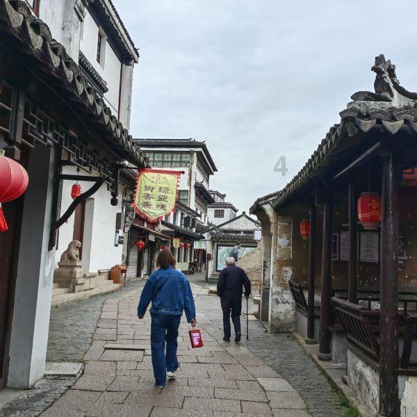 查询养老保险 部门服务到位